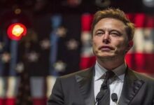 ماسك ساخرا من اعتقال فرنسا لمؤسس "تلغرام": سيعدمون الناس قريبا في أوروبا بسبب "اللايكات"