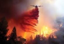 صحيفة حرييت: استمرار حرائق الغابات في إزمير لليوم الرابع تواليا