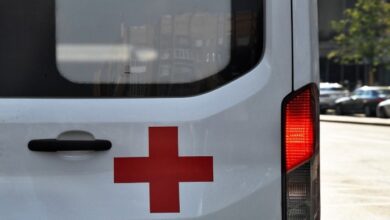 رصد نشاط مرتفع لبؤر الطاعون في 75 منطقة بمنغوليا