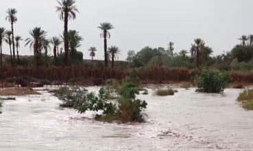 آدرار: حاكم أوجفت يترأس لجنة لإحصاء الأضرار الناجمة عن الأمطار والعاصفة في ” تنومند”