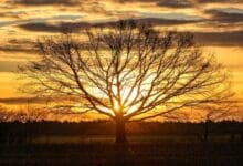 مخاطر الارتفاع غير الطبيعي للحرارة في فصل الشتاء على الصحة