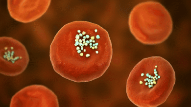 أرقام صادمة .. كم من البلاستيك الدقيق المسرطن يتسلل إلى جسدك دون أن تدري؟!